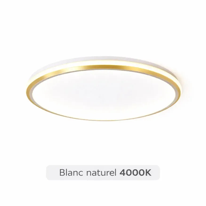 Luminaire Plafonnier LED | Rondly